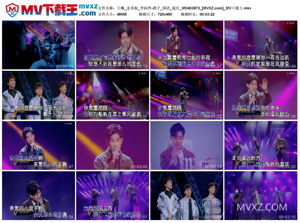 王晰_金圣权_李向哲-鸽子_国语_流行_MD403873